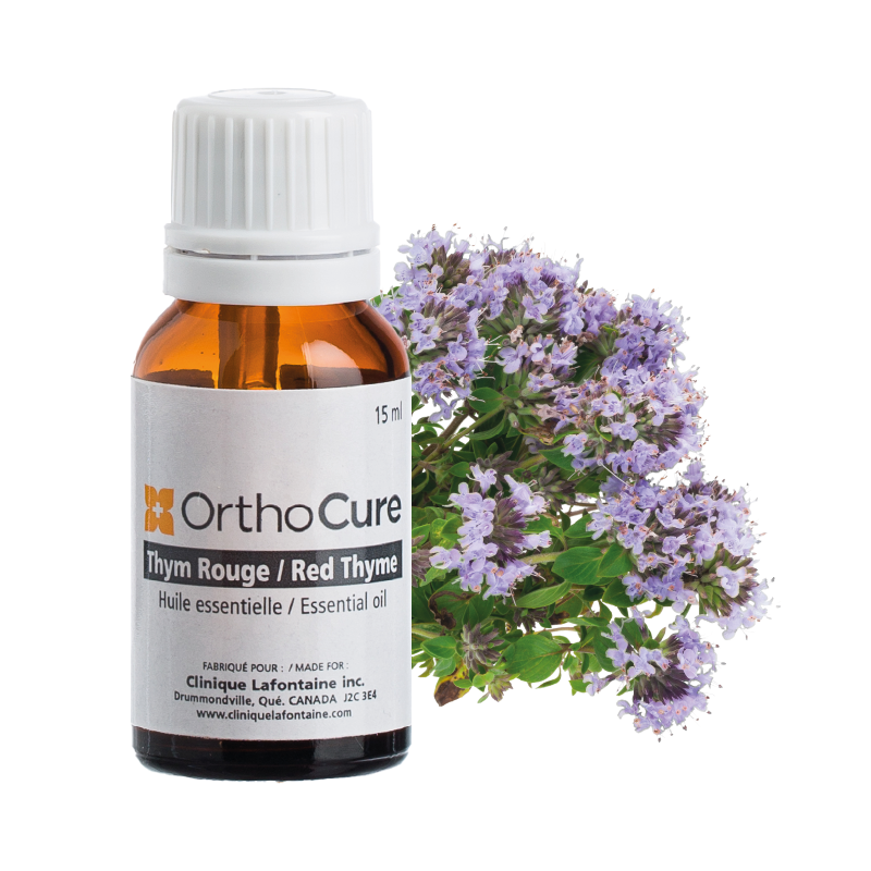 Red Thyme Essential Oil