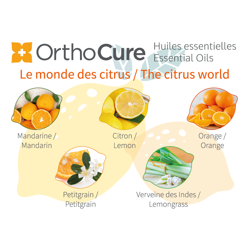 monde citrus montage boite huile essentielle